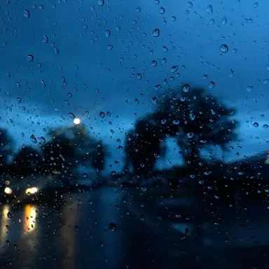 Profile image of 小柳ロウ