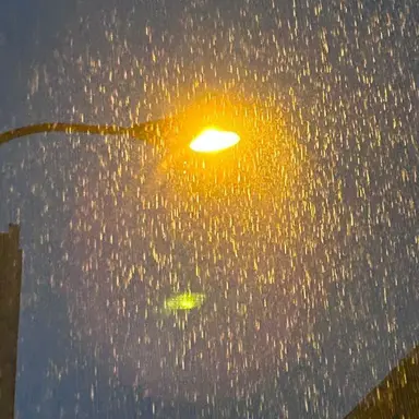 Profile image of 緋八マナ