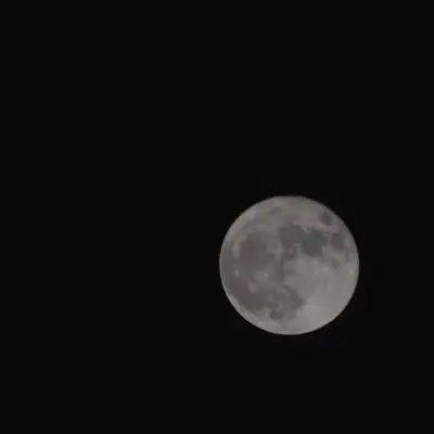 5456226761_45의 中原中也