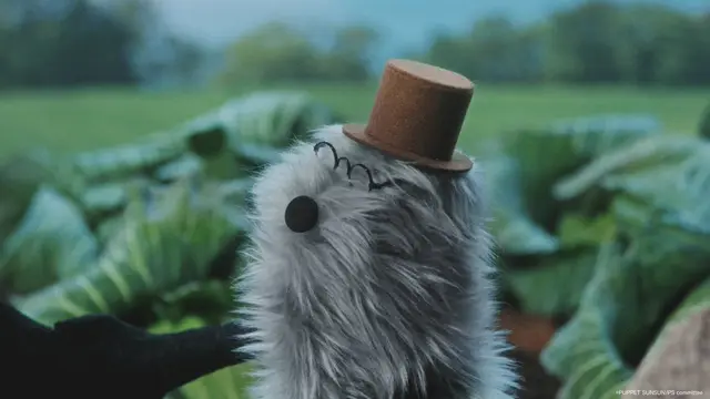 Profile image of ゾンゾン