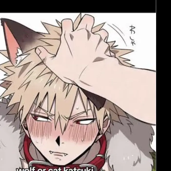 FatalTrain7265의 Bakugo's Fixed Point