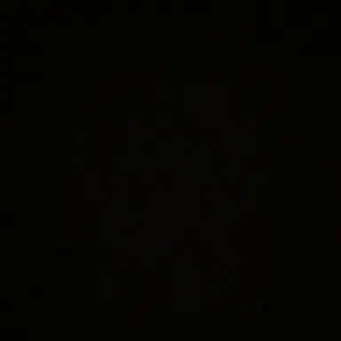 Profile image of 김동현