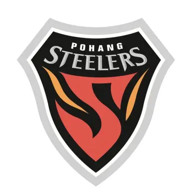 Profile image of 浦項スティーラーズ