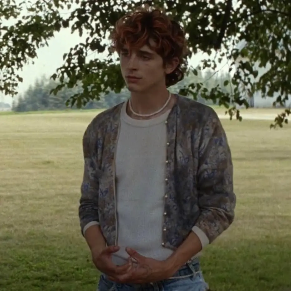 StiffBison2378의 Lee (Timothee Chalemet, Bones and all)