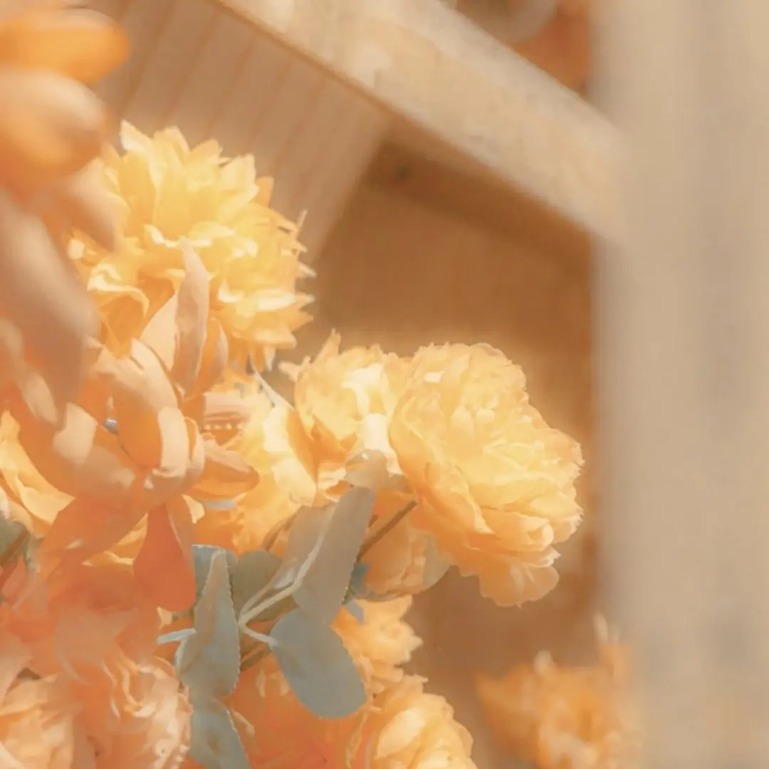 lIlIIIIIIIIIIllllllllllllIIIII의 조직