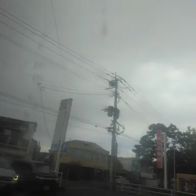 Profile image of 台風