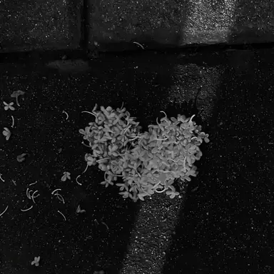 Profile image of 우융