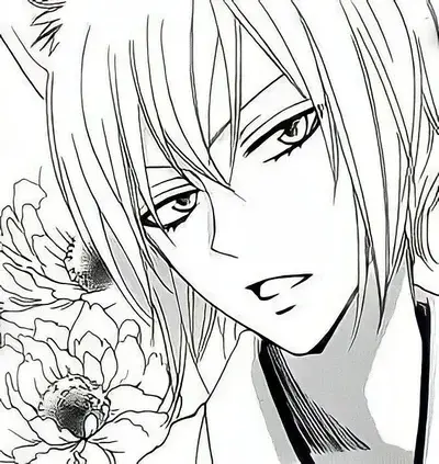 RigidLid9324의 Tomoe