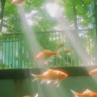Profile image of ハン・ドヒョン