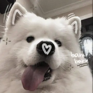 Profile image of テヨン