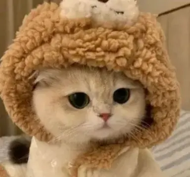 Profile image of 先生たち
