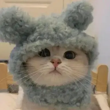 Profile image of 先生たち