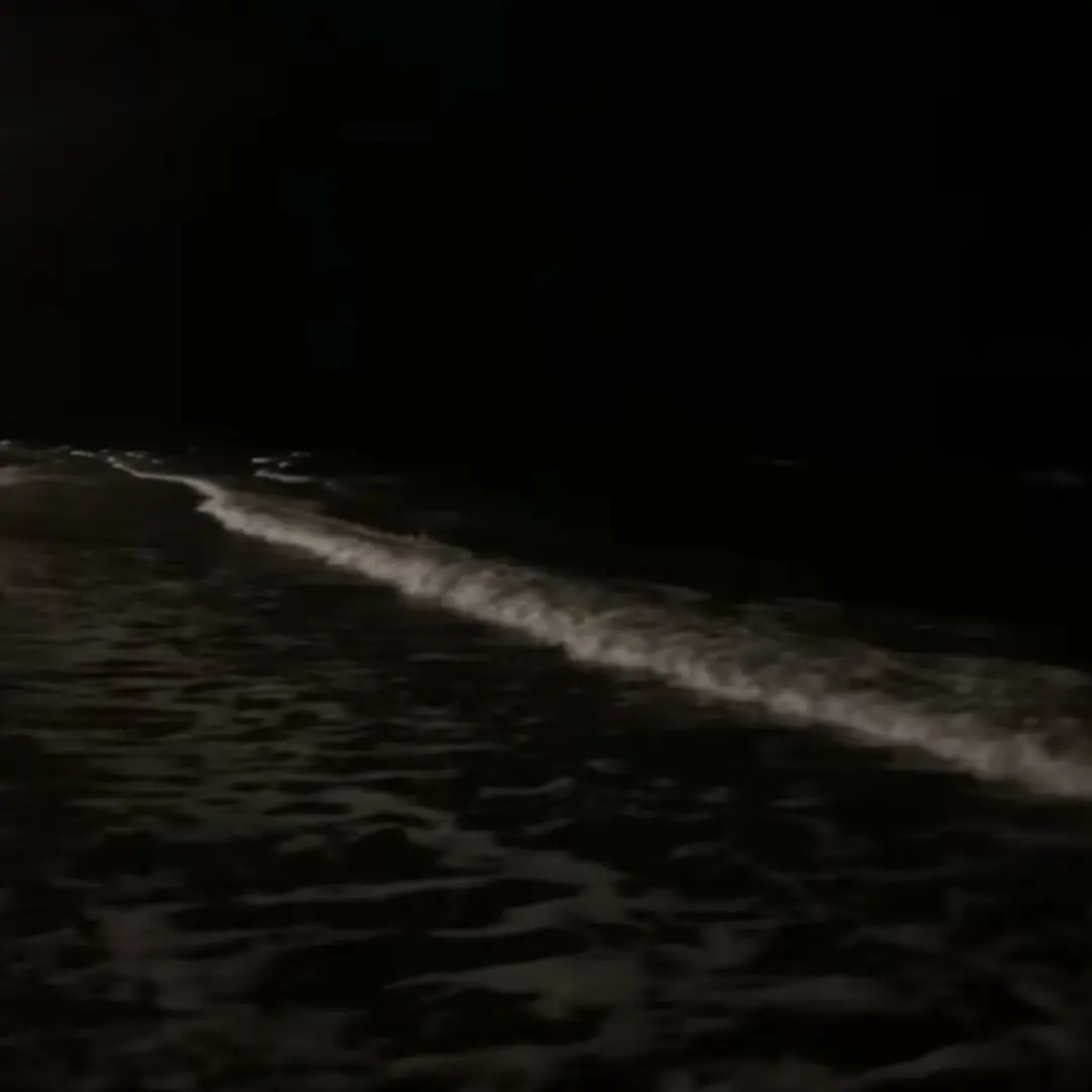 GoldenSwing0291의 정공룡