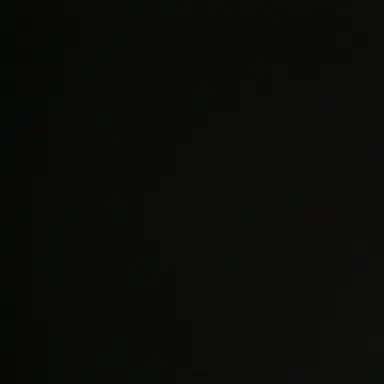 Profile image of 릴리