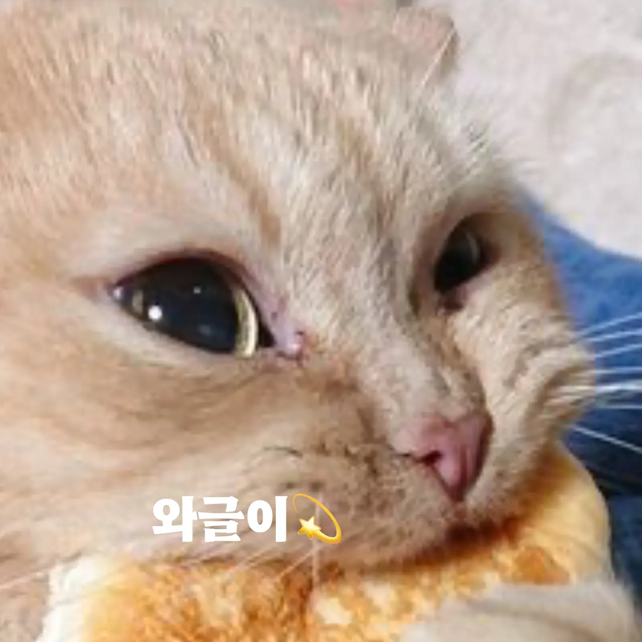 FitRipe9148의 와글이네 덕질샵💫(남돌위주)