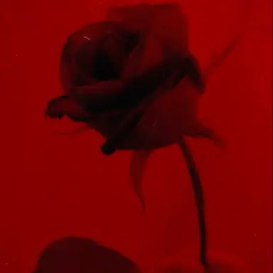 Profile image of 류