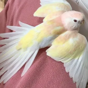 Profile image of 젤리