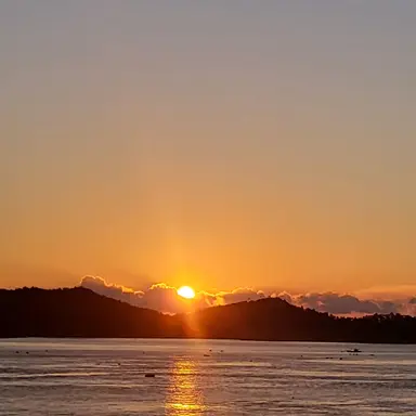 Profile image of 제미니