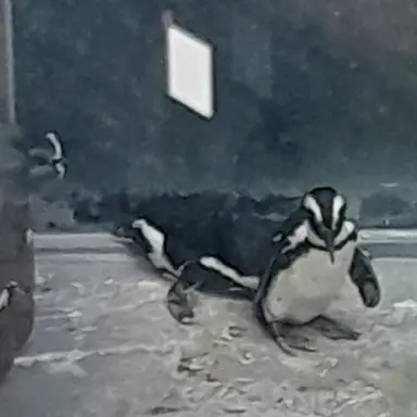 Profile image of 또경사