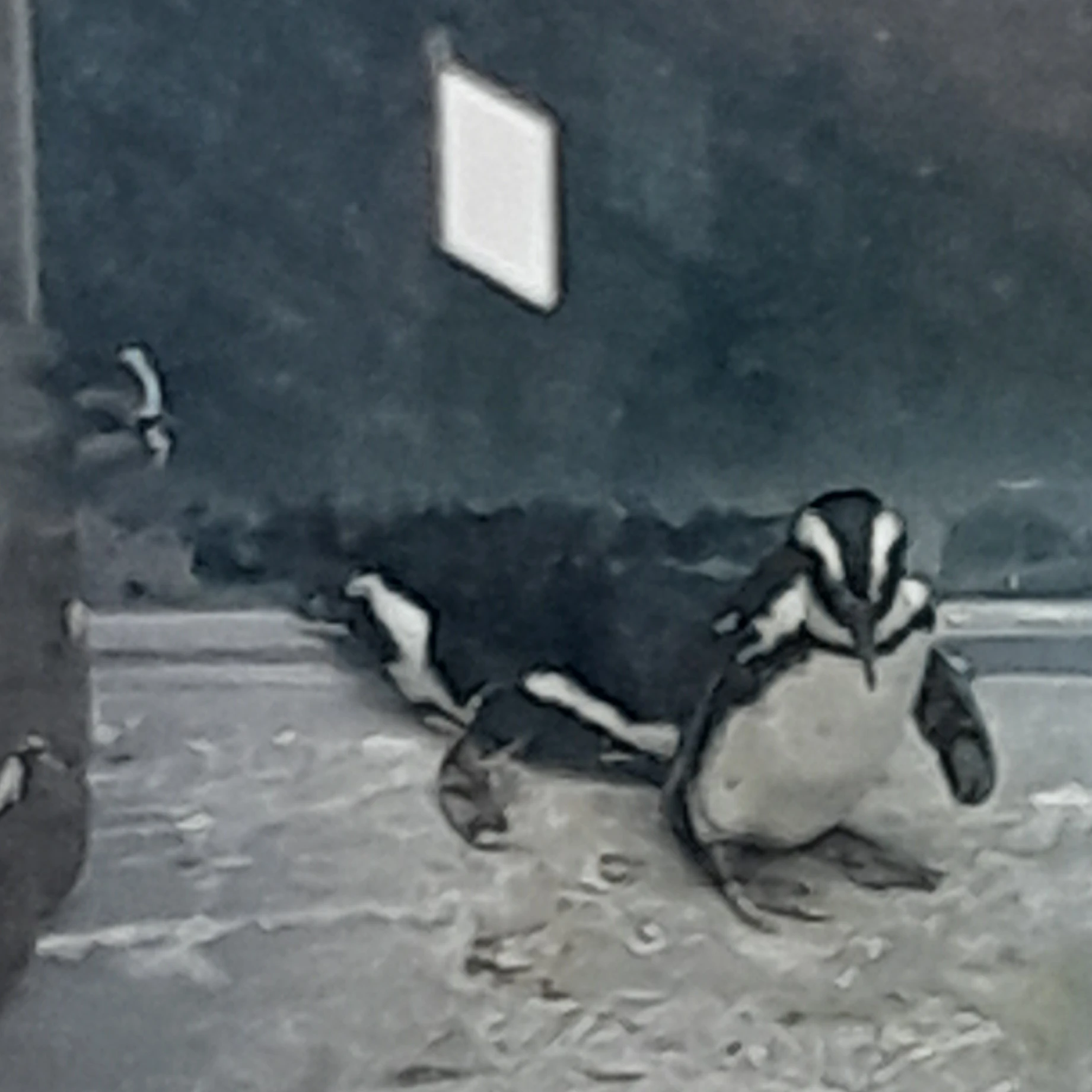 또경사