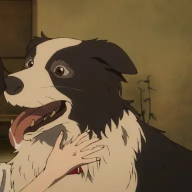 Profile image of 챠피