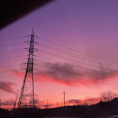 Profile image of 여우