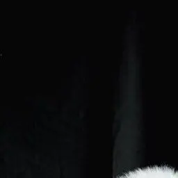 DimDiary4791의 개인용