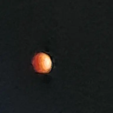 Profile image of 뽀니핑
