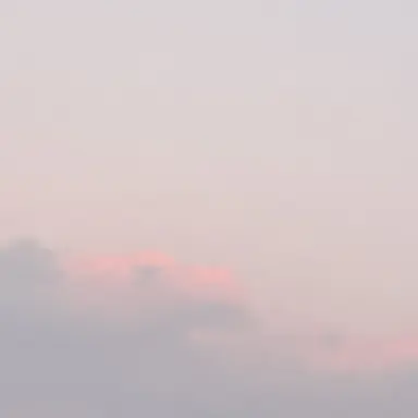 Profile image of 하츄핑