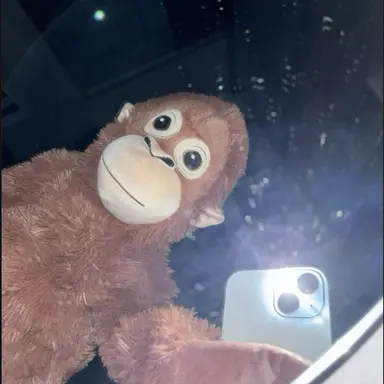 Profile image of 뀨