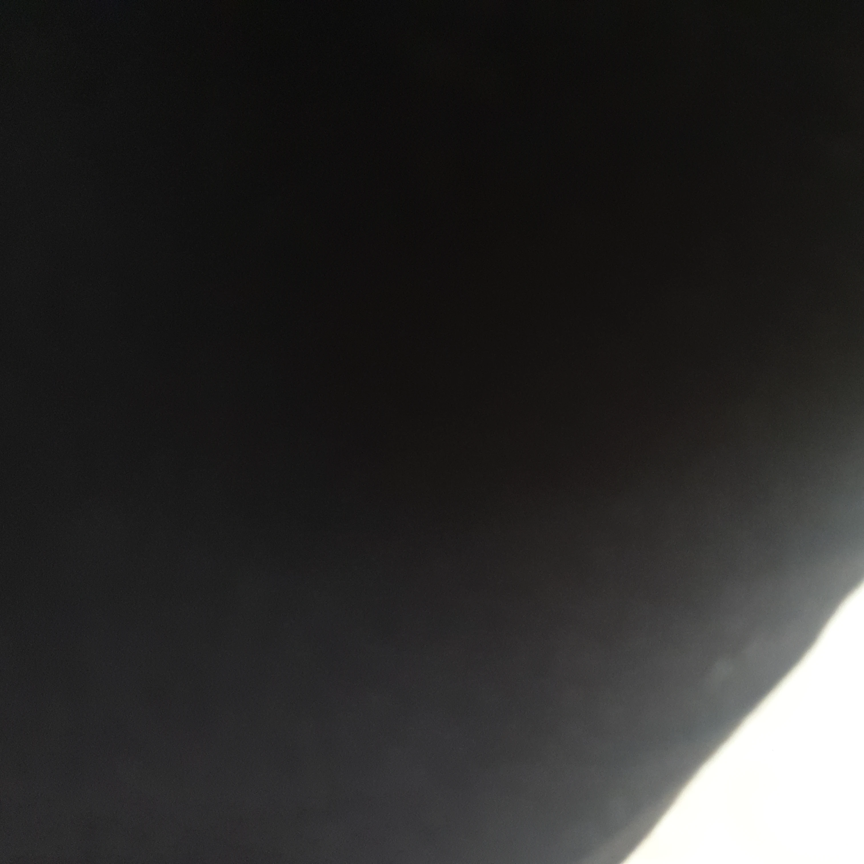 퓨처
