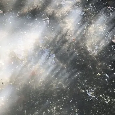 Profile image of 채아현