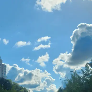 Profile image of 유저님