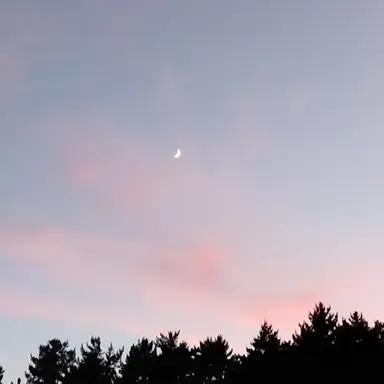 Profile image of 서라더