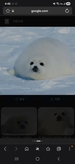Profile image of 펭귄 및 물개