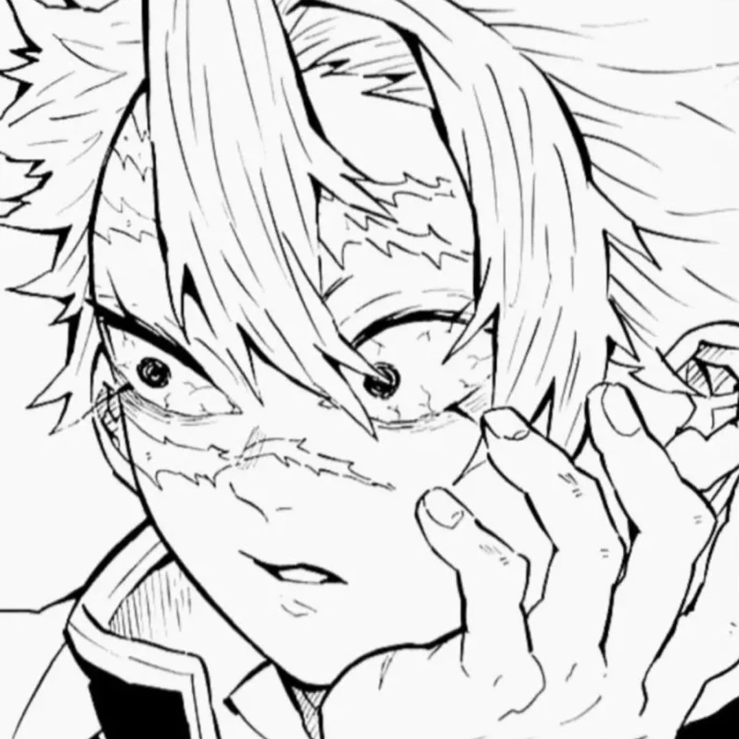 시나즈가와 사네미