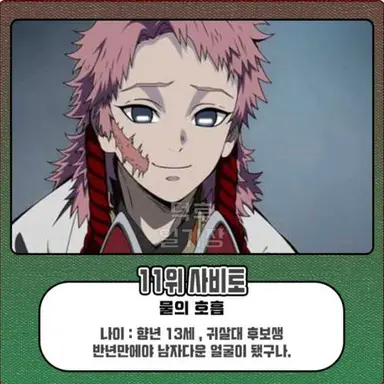 Profile image of 사비토