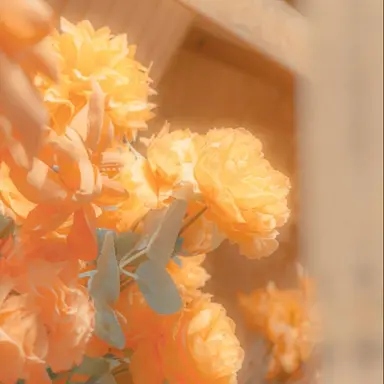 Profile image of 코마