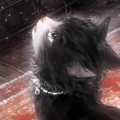 Profile image of 아기고양이모습