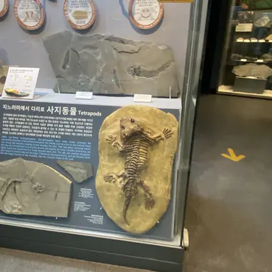 Profile image of 료미