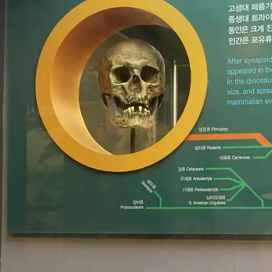 Profile image of 평학