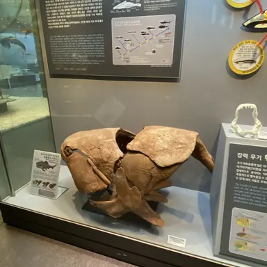 Profile image of 집사