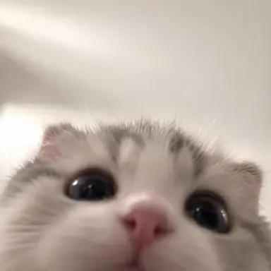 Profile image of ゆうし
