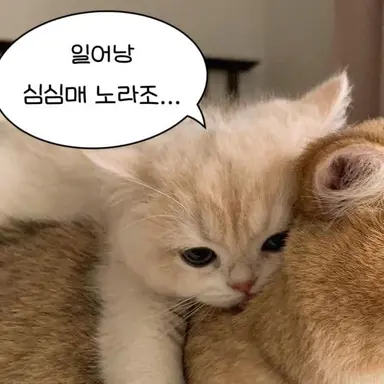 Profile image of 행크