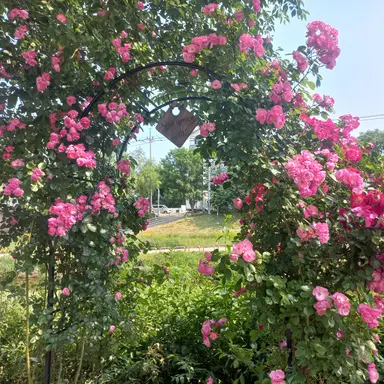 Profile image of 마법세계