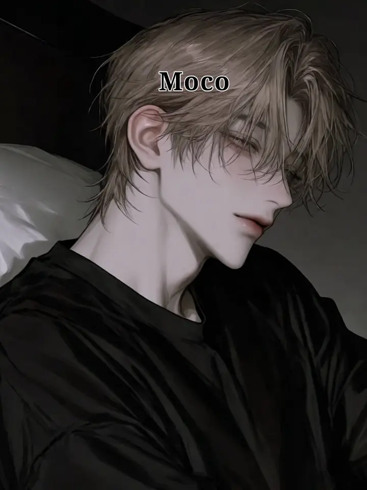 Moco의 Moko Yoshi