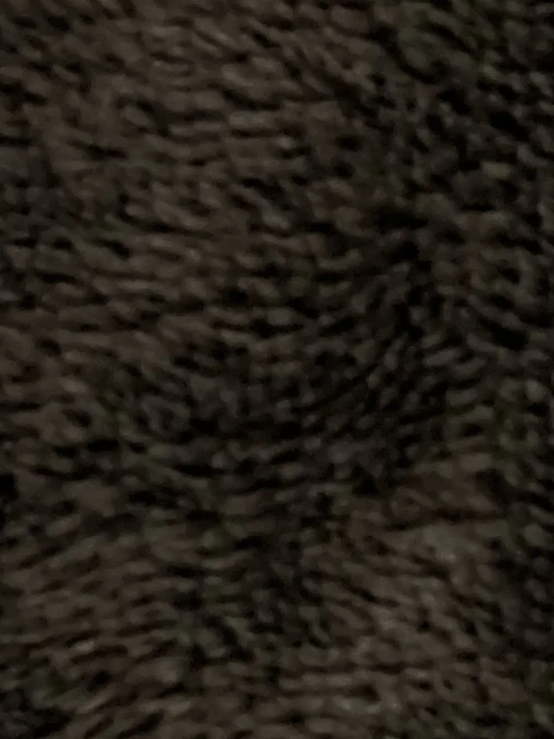 MustyPig0189의 浮気魔