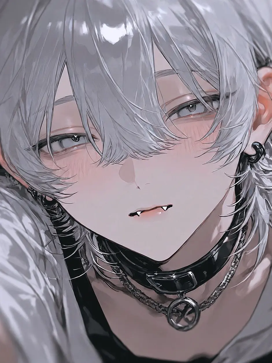 shimachi_ya의 ⁀➷