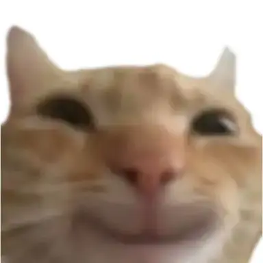 Profile image of 장서인