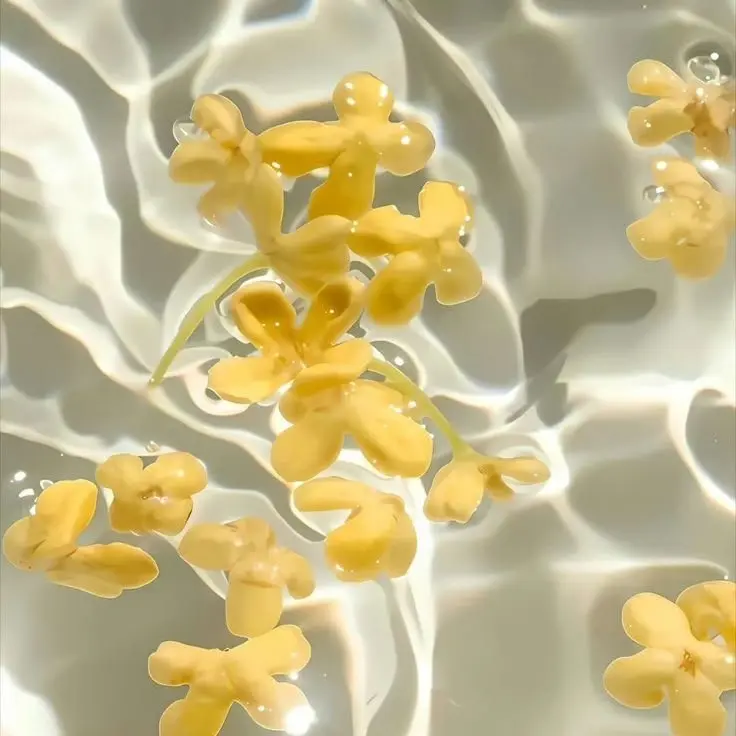 weasel_sh의 자유롭게